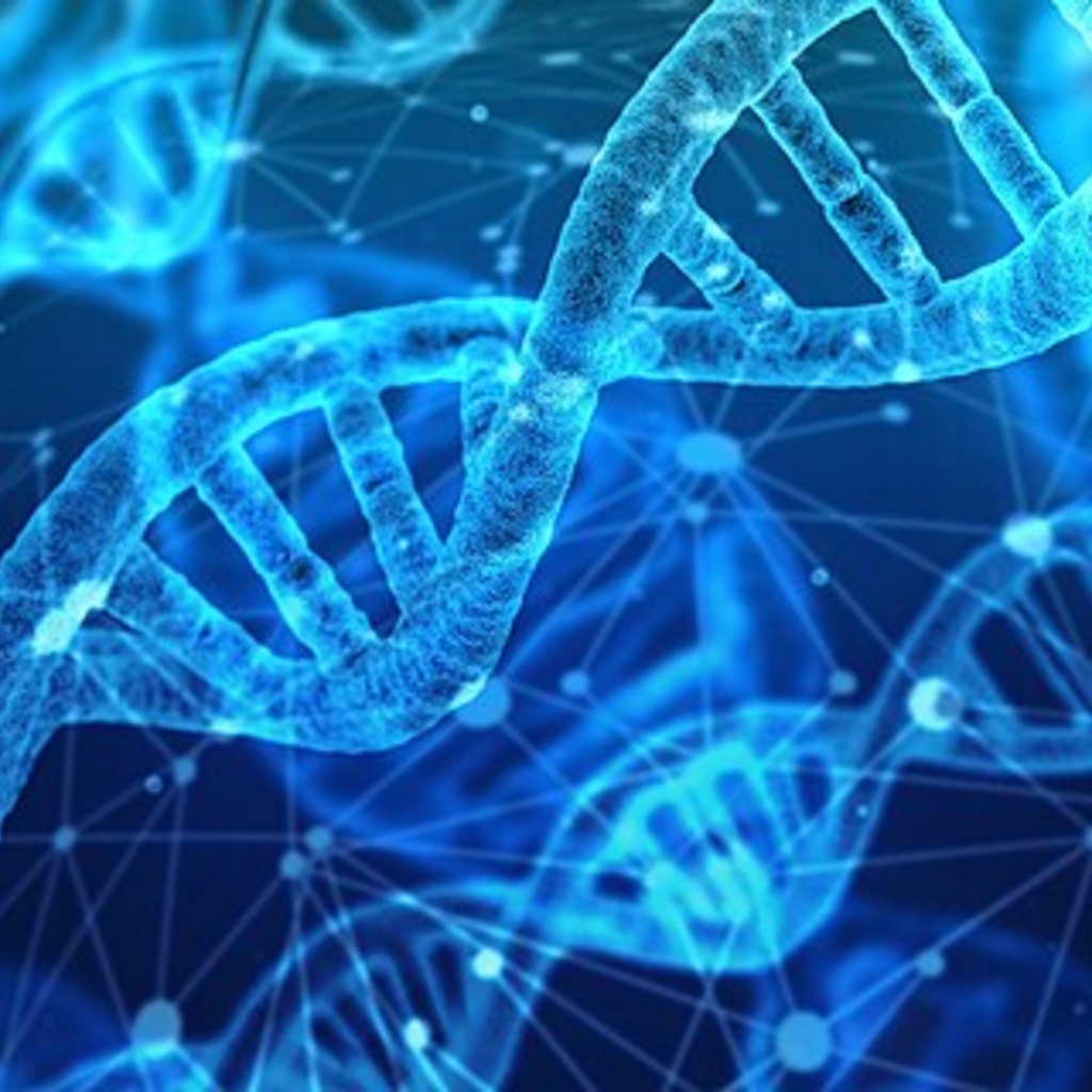 DNA Strands