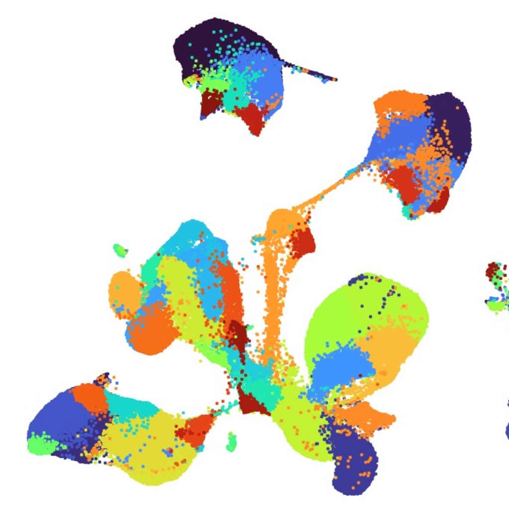 Single Cell UMAP